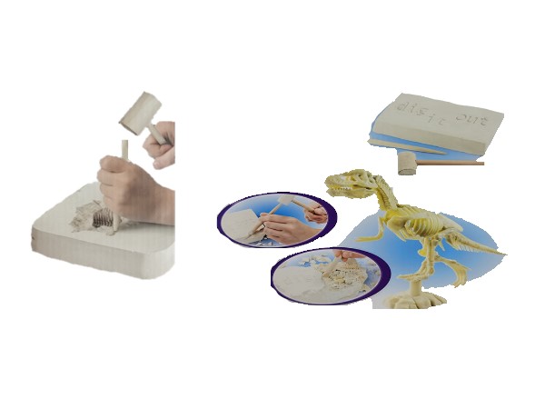 Digging Dinosaur Fossil C