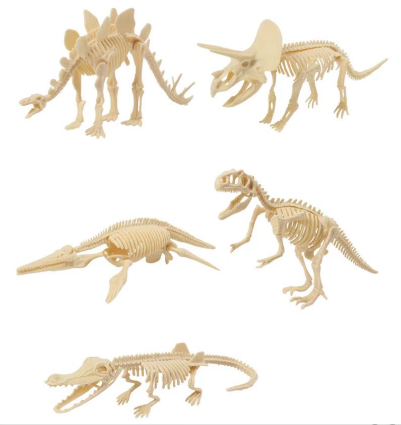 Digging Dinosaur Fossil E